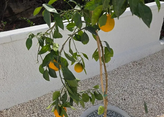 Villa King Alexander Villa15-just A 200m Walk To The Sea Hlóraka